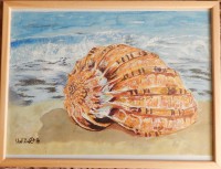 /album/aquarell/tengeri-kagylo-2015-11-24-jpg/